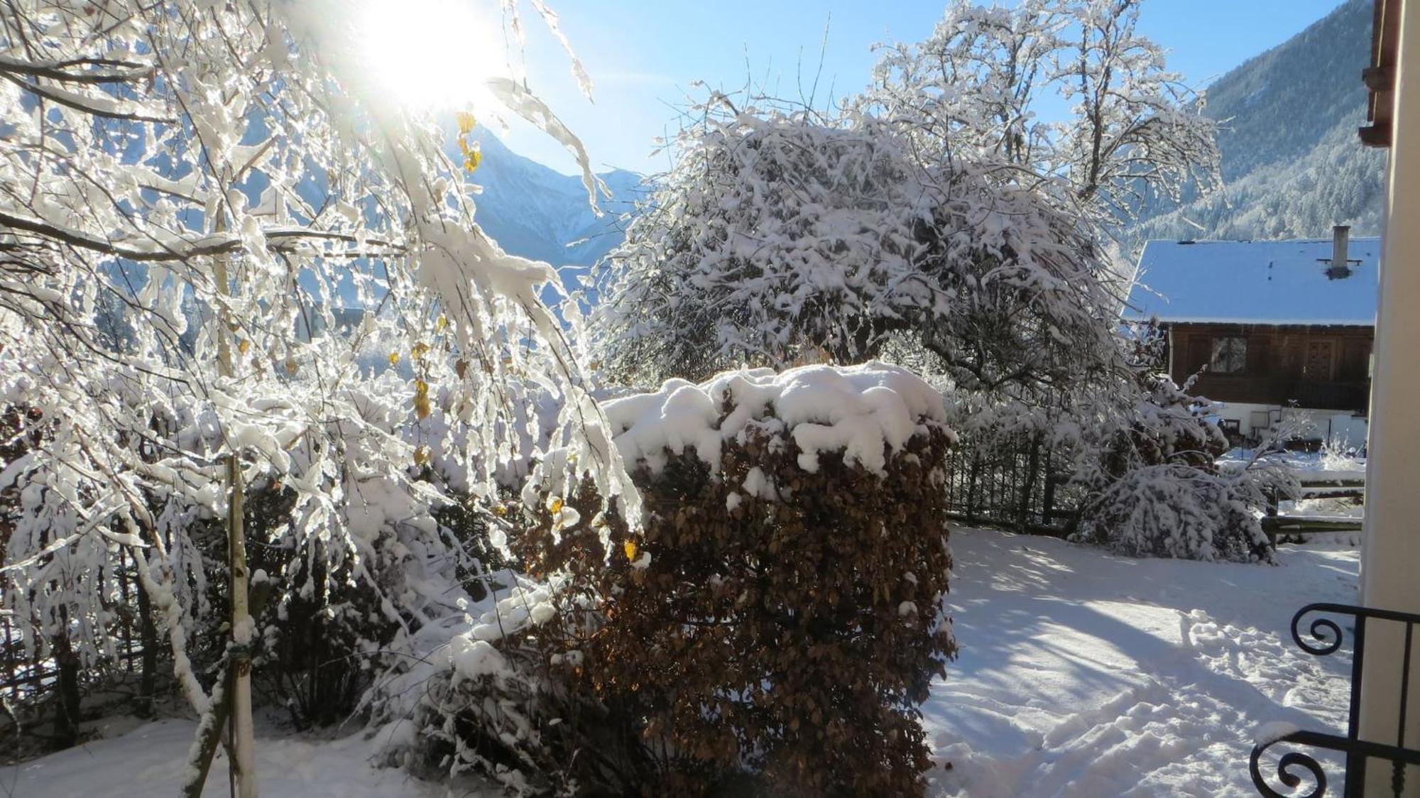 Les Alpins - Centre De Chamonix - Renove Avec Jardin Et Vue Imprenable Sur Le Montblanc Lejlighed Eksteriør billede