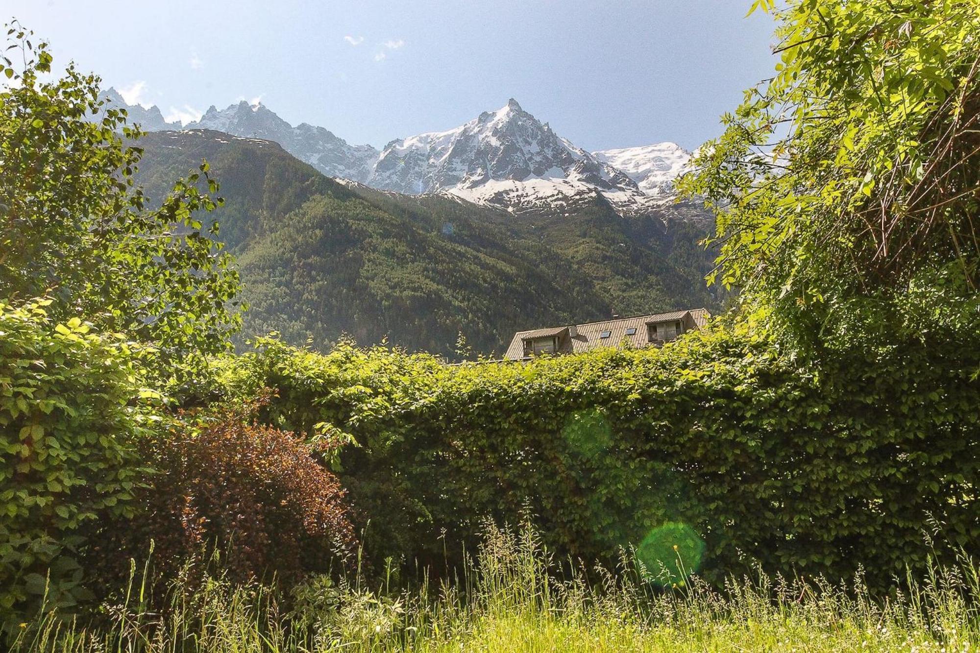 Les Alpins - Centre De Chamonix - Renove Avec Jardin Et Vue Imprenable Sur Le Montblanc Lejlighed Eksteriør billede